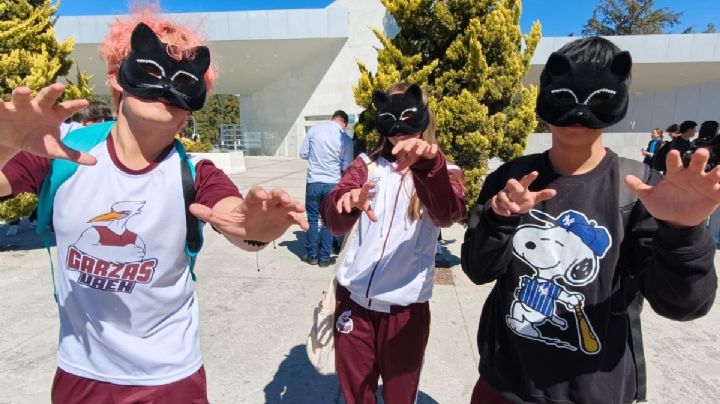 Sacal, María y Fernando, ellos son los therians de Pachuca que se identifican con panteras