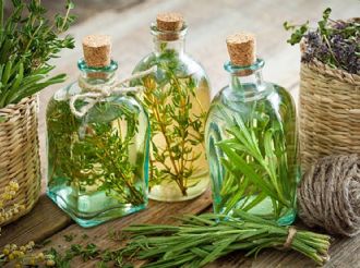 El romero: sabiduría ancestral para sanar el dolor crónico y muscular