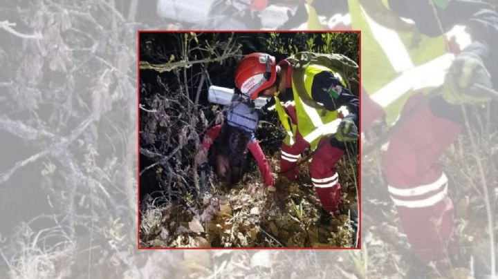 Así fue el rescate de un excursionista francés en barranca de Oaxaca