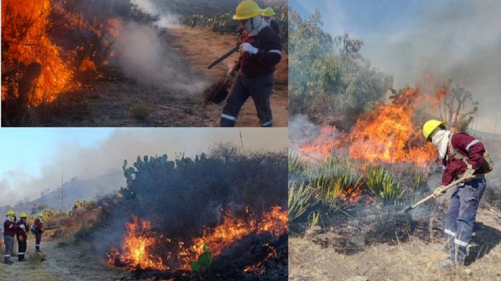 Controlan al 50% incendio en Epazoyucan; reanudarán labores mañana