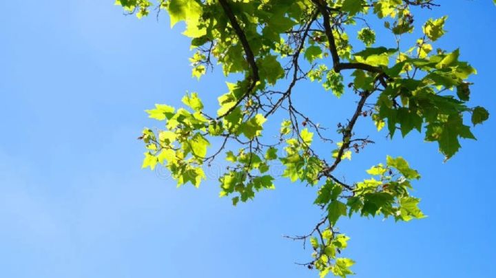 Hidalgo se mantiene caluroso y sin lluvias; temperaturas alcanzarán hasta 40 °C