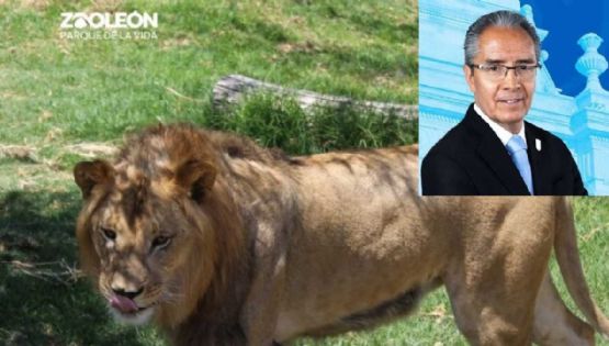 Han muerto 50 animales en el Zoológico de León en 3 meses