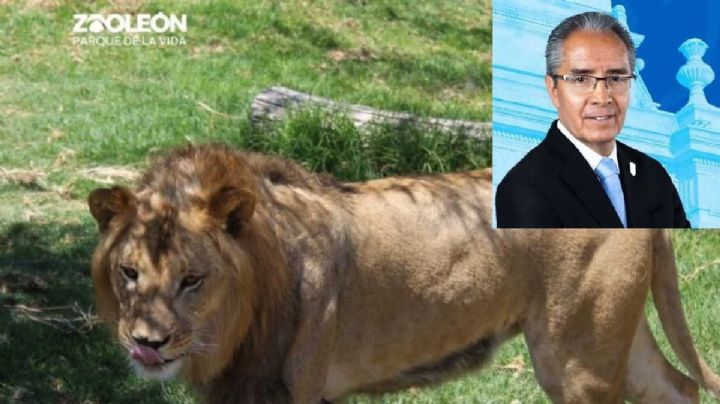 Han muerto 50 animales en el Zoológico de León en 3 meses