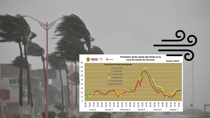 Norte de hasta 95 km/h en Veracruz azotaría la tarde del jueves 5 de febrero por nuevo frente frío