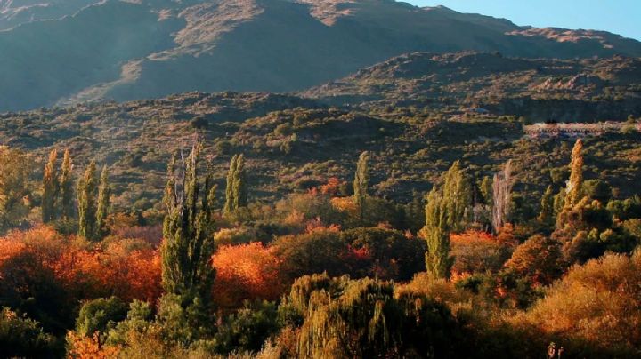 Masa de aire ártico mantiene 2 grados en Guanajuato este martes 03 de febrero