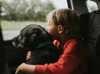 Esta es la multa por dejar a niños o mascotas en el coche bajo el sol en CDMX