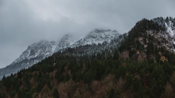 Alertan sobre heladas de hasta -10°C en Hidalgo ¡Abrigate y usa calefactor!