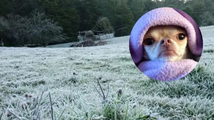 Se prevén madrugadas frías para Hidalgo por frente frío, pero no habrá lluvias