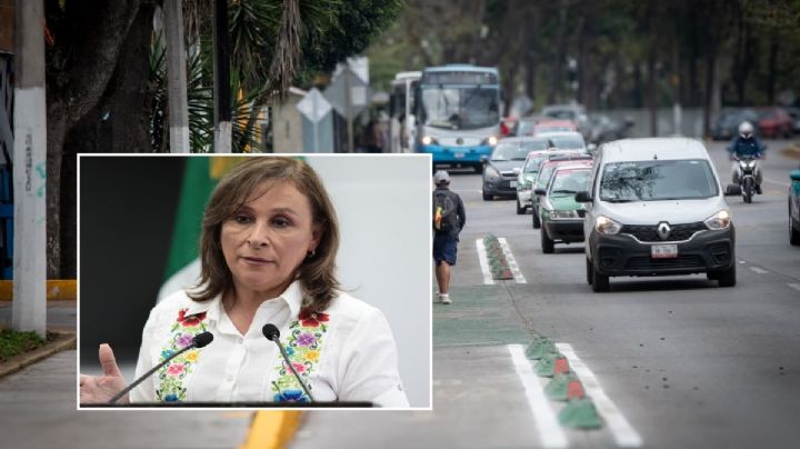 Así sería la consulta popular de Nahle en Xalapa para los nuevos camiones Olmeca