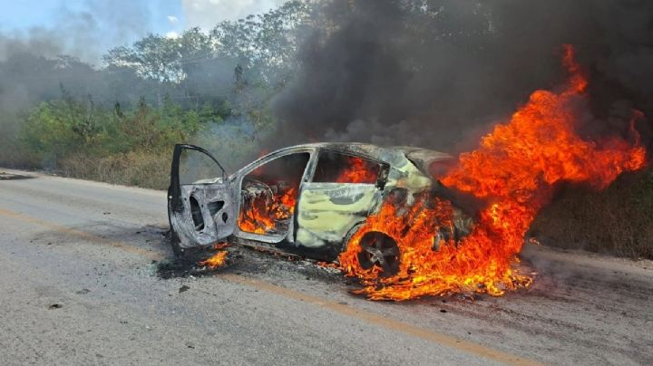 Mago de Oz, clavados, expos y ferias: eventos cancelados por violencia en México