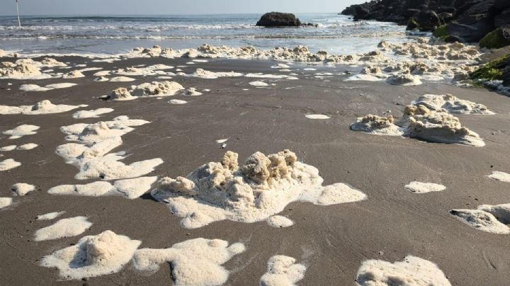 Amanece Playa Santa Ana de Boca del Río, Veracruz, cubierta de espuma