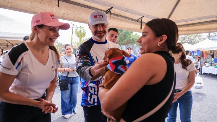 Adoptan en “Chihuatón” a los 50 perritos disponibles