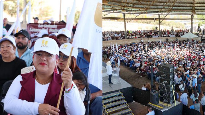 Destinan 155 mdp para fortalecer al Altiplano en materia de producción cebadera