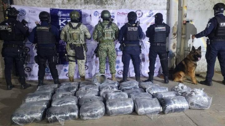 Perro policía halla más de 120 mil dosis de droga en Irapuato