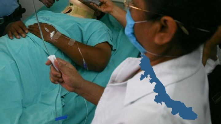 Caso histórico de muerte por rabia en Veracruz fue en 2025, confirma Rocío Nahle