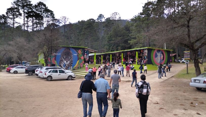 Desaparecen en Chiapas más de un menor de edad al día; la mayoría mujeres