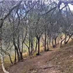 Pronostican lluvias en Guanajuato para este miércoles 4 de febrero y fuertes vientos