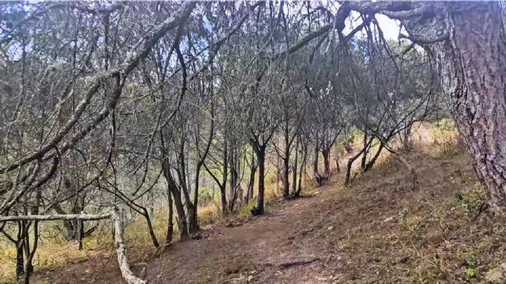 Pronostican lluvias en Guanajuato para este miércoles 4 de febrero y fuertes vientos