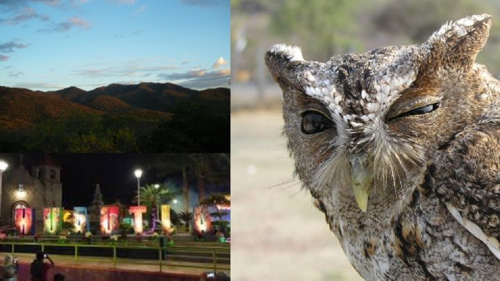 30 mil pesos de multa por cazar: Huautla a favor de la conservación