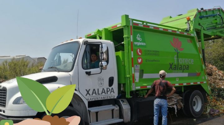 Compostaje masivo: el sistema que busca reducir 20% de la basura xalapeña