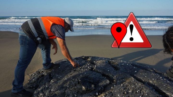 Estas son las playas de Catemaco afectadas por derrame de hidrocarburo