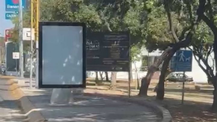 Obstruyen las banquetas: colocan anuncios con permisos del Municipio