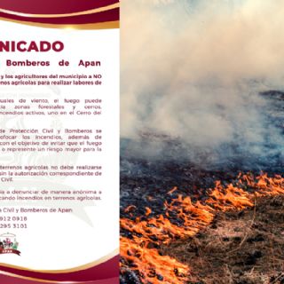 Reportan incendios activos en Apan; brigadas trabajan para contener el fuego