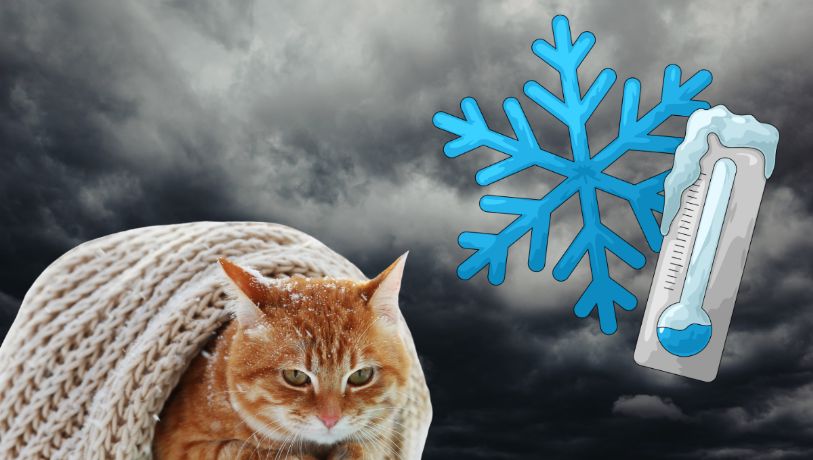 ¡Saquen las chamarras! Frente Frío 41 traerá descenso de temperatura a Hidalgo