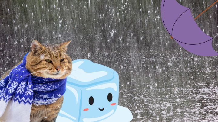 Alerta por frente frío en Hidalgo: Habrá lluvias muy fuertes y ráfagas de viento para este martes