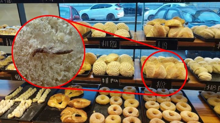 Cliente denuncia que compró panqué en esta famosa panadería de Pachuca y se llevó una mala sorpresa