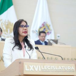 Diputados del PAN y Libia impulsan reformas a 70 leyes a favor de las mujeres
