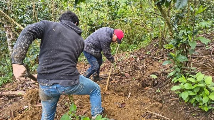 Policía halla morralito y costal de Juliana, niña ch’ol perdida en montaña de Tila