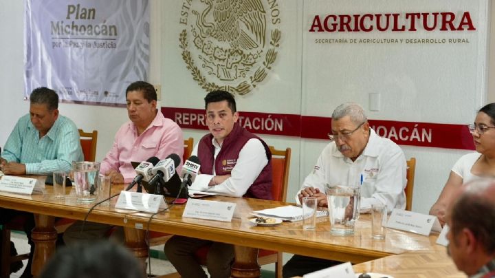 Dispersados más de 374 mdp en incentivos para productores de maíz en Michoacán
