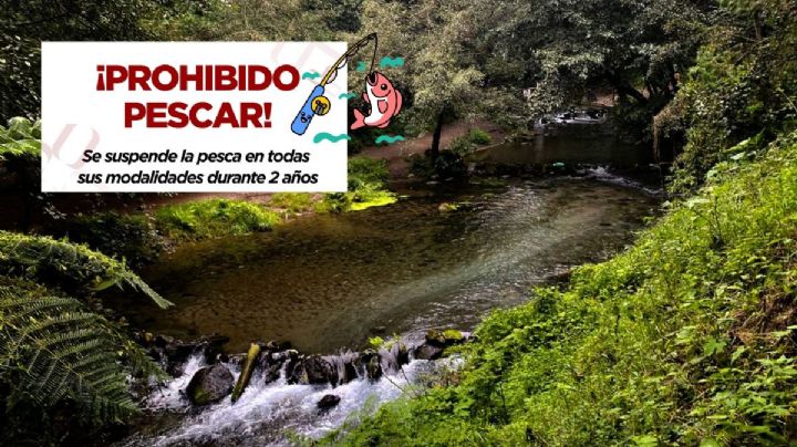 Sin pesca durante 2 años en este municipio de Veracruz