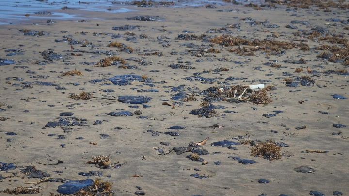 Derrame de petróleo agobia a Veracruz a unos días de vacaciones de Semana Santa