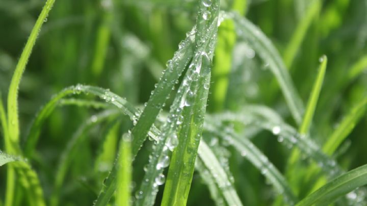 Solo este municipio de Hidalgo registrará briznas, en los otros calor este martes 24