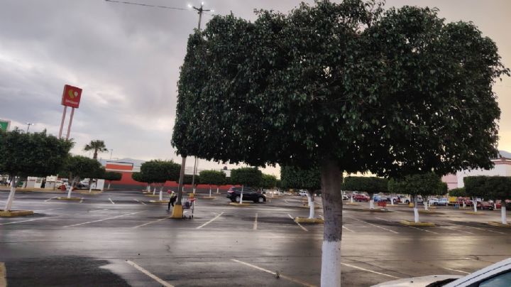 Menos frío de madrugada en Guanajuato para este martes 24 de marzo