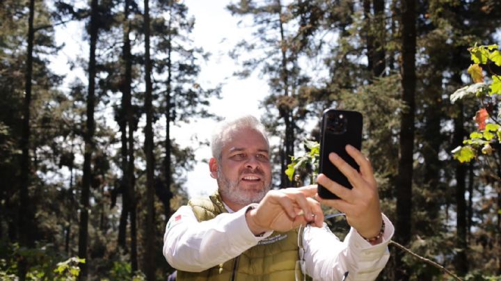 Gobernador Ramírez Bedolla celebra incremento de 64% en migración de mariposa monarca