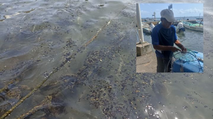 Pescadores limpian con cubetas y redes hidrocarburo que llegó al puerto de Veracruz