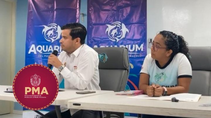 PMA de Veracruz niega fauna muerta por derrame y pide reportar casos en su oficina