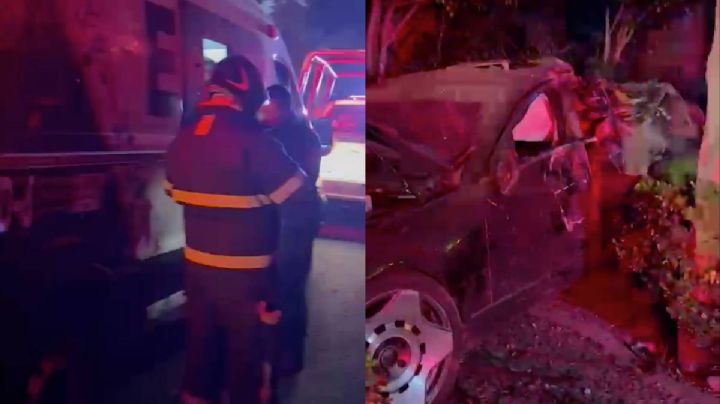 Conductor choca en Insurgentes Sur; derriba árboles y un poste