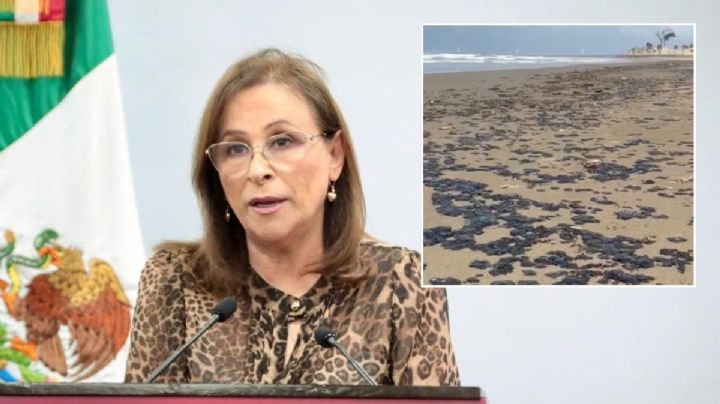 No es culpa de nadie, no es culpa de nosotros: Nahle responde a críticas por derrame de petróleo