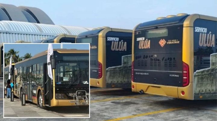 Comprarían más camiones Ulúa en Veracruz-Boca del Río para ampliar rutas, anuncia Nahle