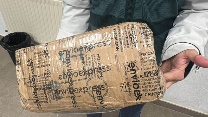 Cárteles mexicanos expanden rutas hacia Europa: España detecta nueva red