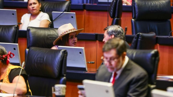 Morenistas gritan “Morón, Morón” a Grecia Quiroz en el Senado