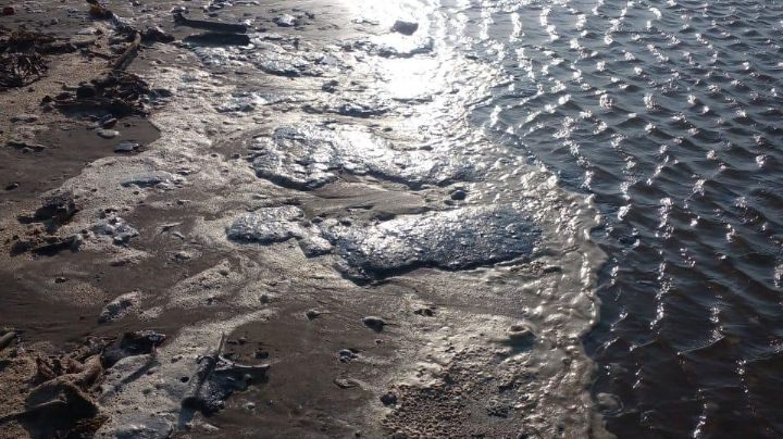 “Mejor tarde que nunca”: ambientalistas critican a Pemex tras admitir derrame