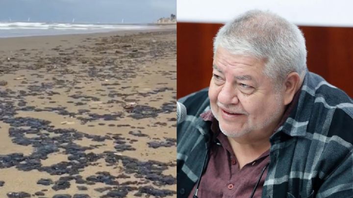 Manuel Huerta exige desde el Senado que Estado aclare investigaciones por derrame en Veracruz