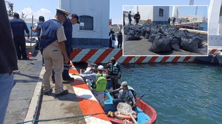 Marina recoge sargazo con chapopote en el Malecón del puerto de Veracruz