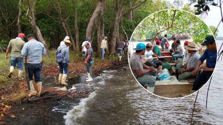 Piden ayuda comunidades en Pajapan, Veracruz, donde llegó por primera vez el derrame del petróleo
