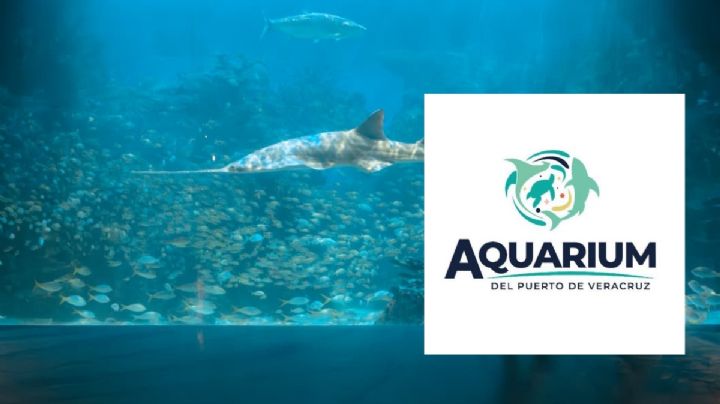 Aquarium de Veracruz: horarios, precios y compra en línea para Semana Santa 2026